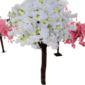 Cherry blossom trees